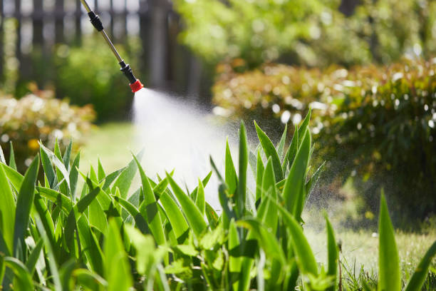 Tamper-Resistant Bait Stations for Rodents in Griswold