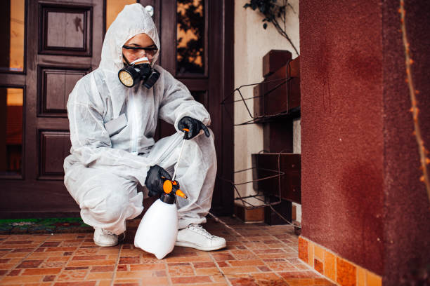 Attic and Crawl Space Rodent Treatment in Griswold